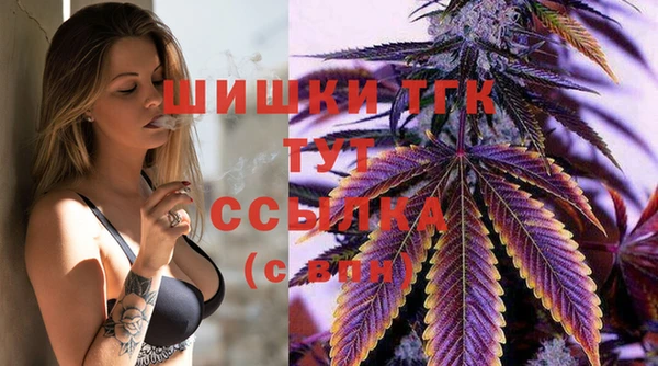 бошки Новозыбков