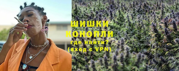 бошки Новозыбков