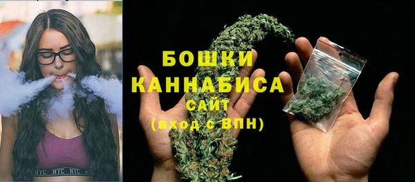 бошки Новозыбков