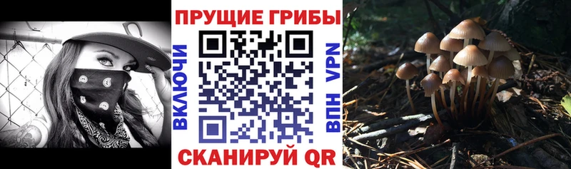 Псилоцибиновые грибы мухоморы  mega ссылка  Починок  сколько стоит 